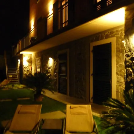 La Gerbera ليفانتو