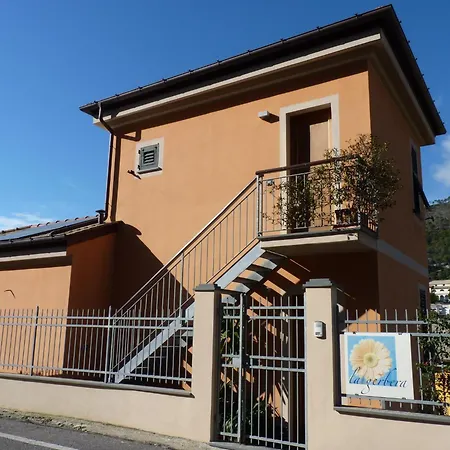 La Gerbera Λεβάντο