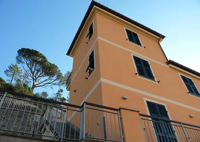 Πανσιόν La Gerbera Λεβάντο