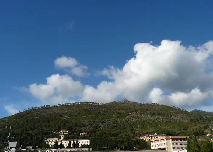 La Gerbera ليفانتو