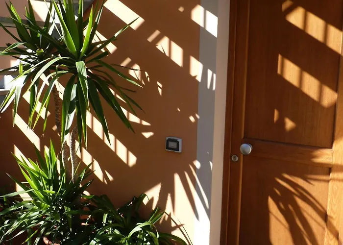 La Gerbera ليفانتو