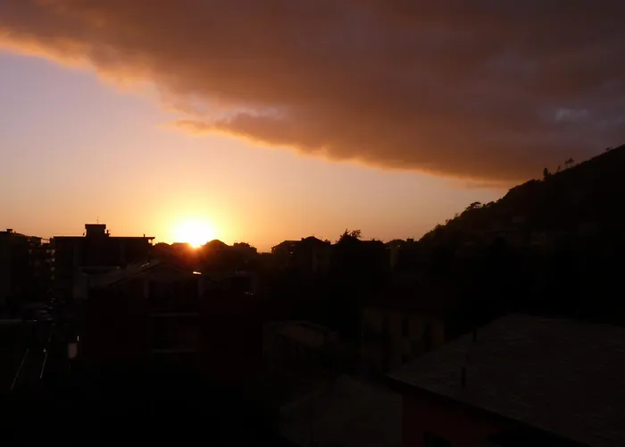 La Gerbera Λεβάντο