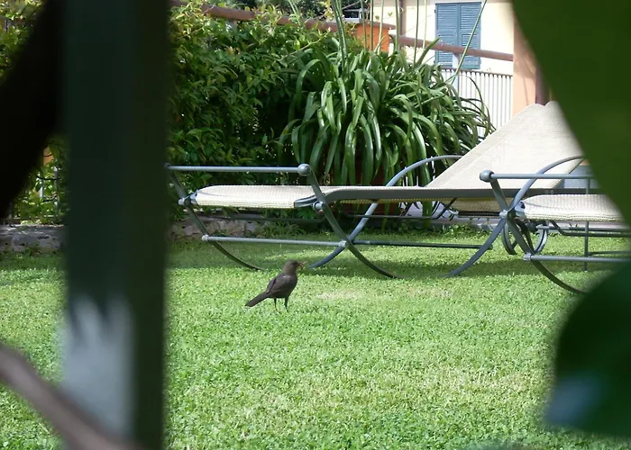 بيت ضيافة La Gerbera