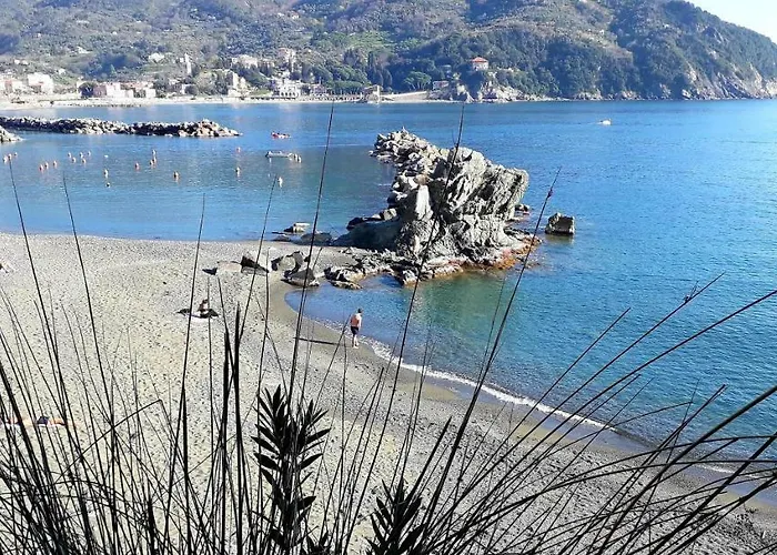 La Gerbera Πανσιόν Λεβάντο