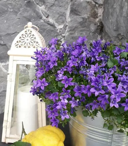 Πανσιόν La Gerbera 3*