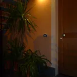 招待所 非洲菊酒店 4*