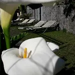 非洲菊酒店 招待所