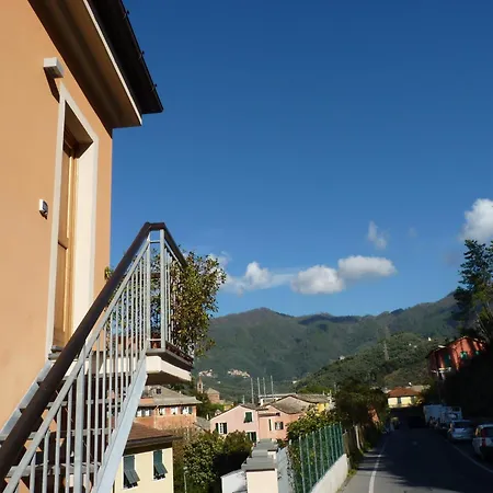 La Gerbera Levanto