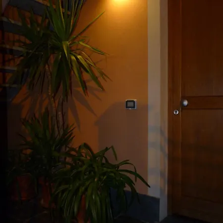 招待所 非洲菊酒店 3*