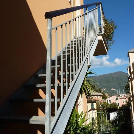 招待所 非洲菊酒店 莱万托