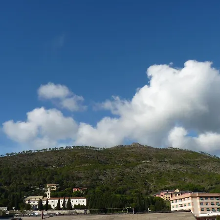 La Gerbera Levanto