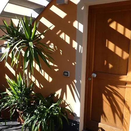 La Gerbera Λεβάντο