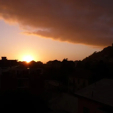 La Gerbera Λεβάντο