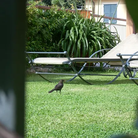 招待所 非洲菊酒店