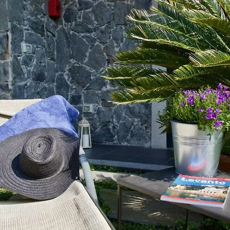 La Gerbera Πανσιόν