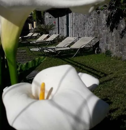 La Gerbera Maison d'hôtes