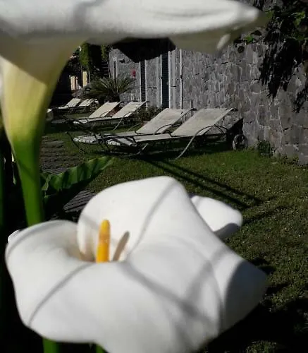 La Gerbera Gæstehus